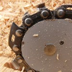 Chainsaw Safety