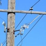 Grúas Móviles y Líneas Aéreas de Energía Eléctrica