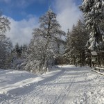 Winter Driving Tactics
