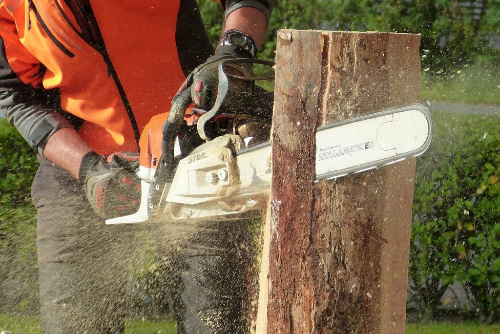 chainsaw-ppe-selection-work-safe-kentucky